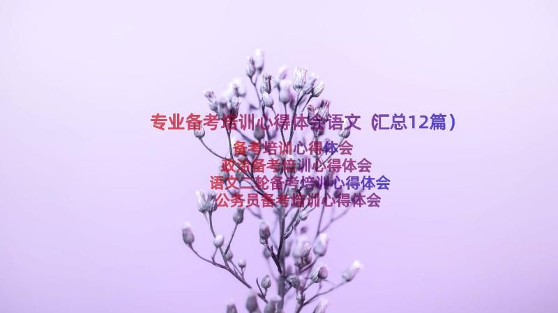 专业备考培训心得体会语文（汇总12篇）