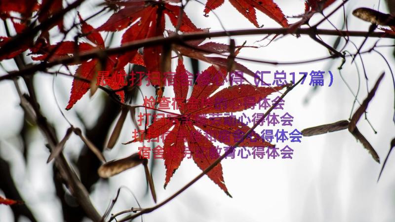 最优打扫宿舍楼心得（汇总17篇）