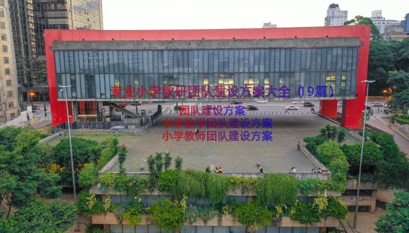 专业小学教研团队建设方案大全（19篇）