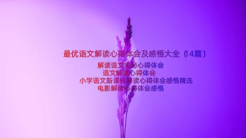 最优语文解读心得体会及感悟大全（14篇）