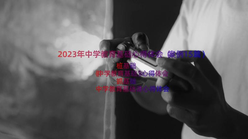 2023年中学教育基础心得体会（案例15篇）