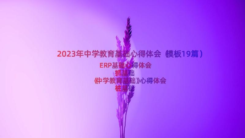 2023年中学教育基础心得体会（模板19篇）