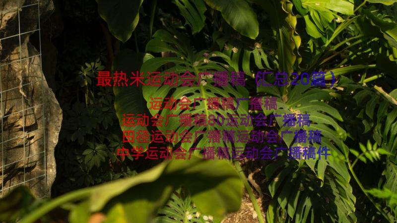 最热米运动会广播稿（汇总20篇）