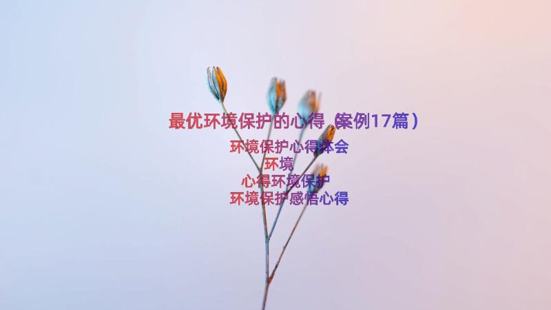 最优环境保护的心得（案例17篇）