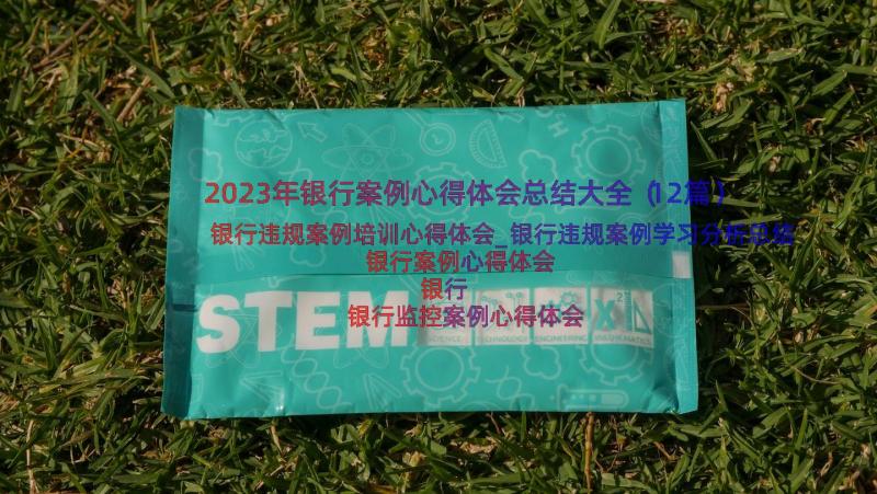 2023年银行案例心得体会总结大全（12篇）