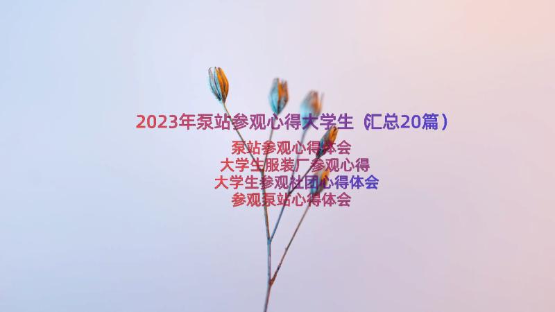 2023年泵站参观心得大学生（汇总20篇）