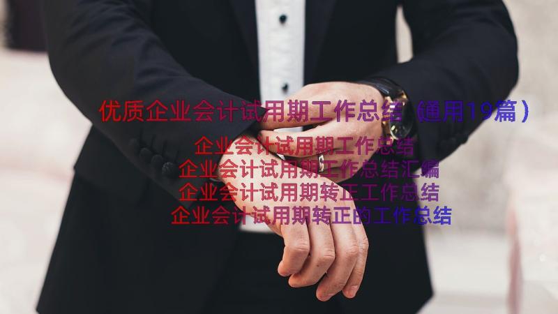 优质企业会计试用期工作总结（通用19篇）