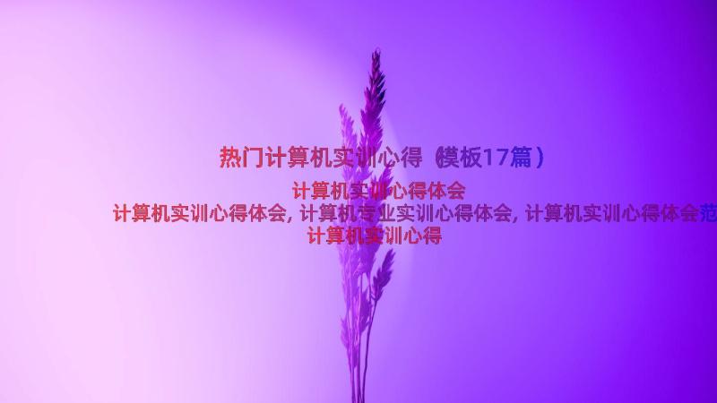 热门计算机实训心得（模板17篇）