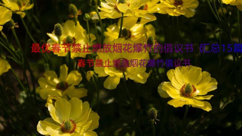 最优春节禁止燃放烟花爆竹的倡议书（汇总15篇）