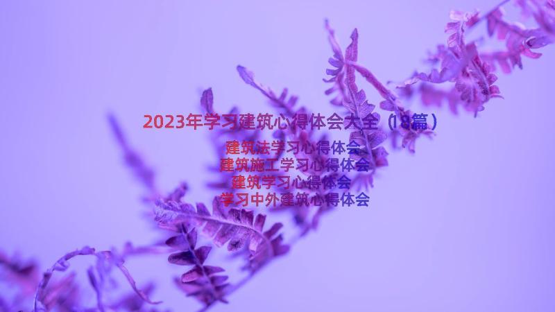 2023年学习建筑心得体会大全（18篇）