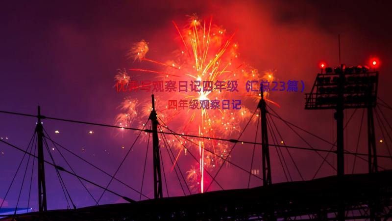 优秀写观察日记四年级（汇总23篇）