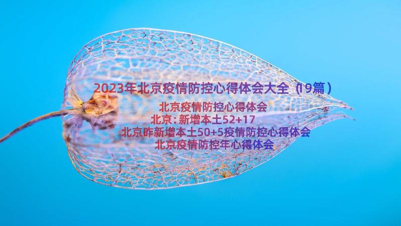 2023年北京疫情防控心得体会大全（19篇）