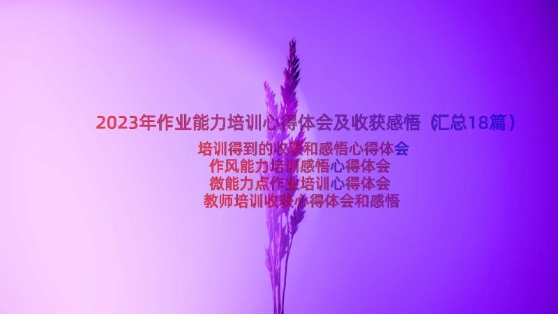 2023年作业能力培训心得体会及收获感悟（汇总18篇）