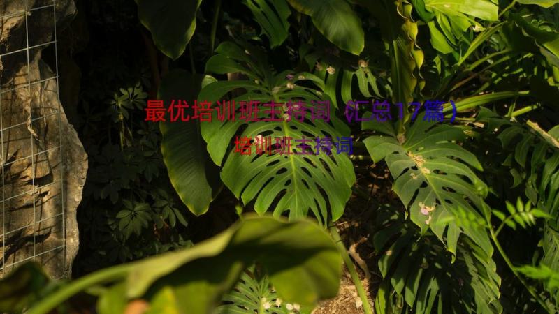 最优培训班主持词（汇总17篇）