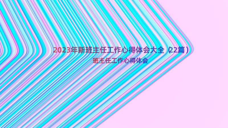 2023年新班主任工作心得体会大全（22篇）