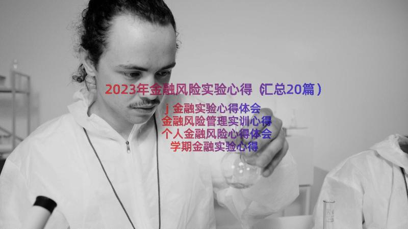 2023年金融风险实验心得（汇总20篇）