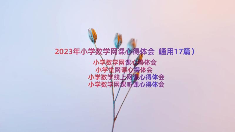 2023年小学数学网课心得体会（通用17篇）