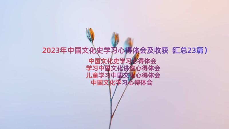 2023年中国文化史学习心得体会及收获（汇总23篇）