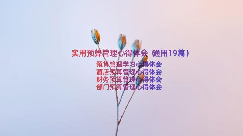 实用预算管理心得体会（通用19篇）