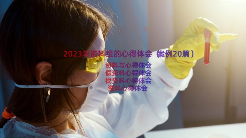 2023年资料组的心得体会（案例20篇）