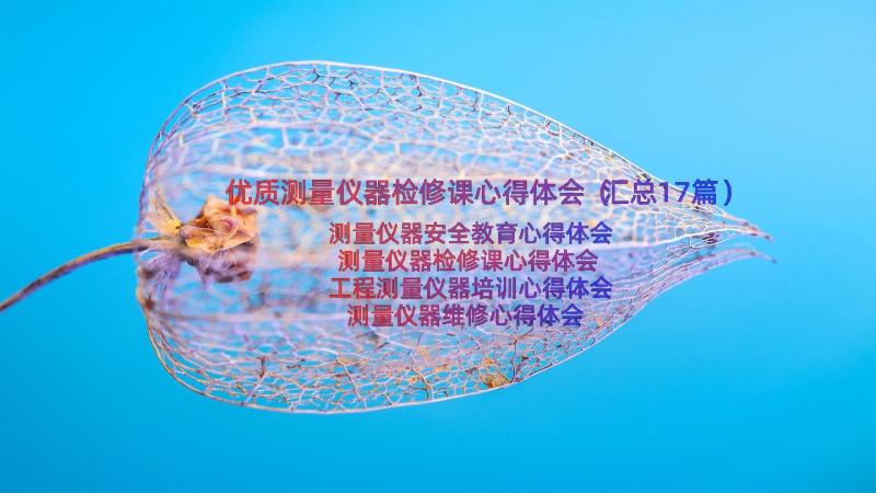 优质测量仪器检修课心得体会（汇总17篇）