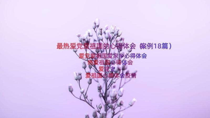 最热爱党爱祖国的心得体会（案例18篇）