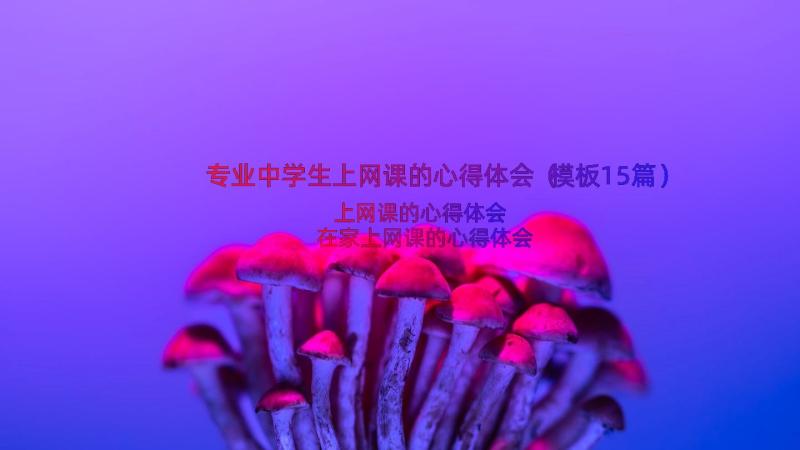 专业中学生上网课的心得体会（模板15篇）