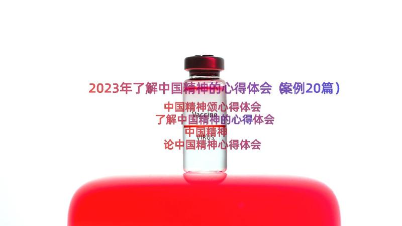 2023年了解中国精神的心得体会（案例20篇）