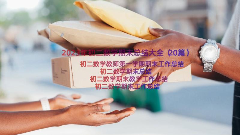 2023年初二数学期末总结大全（20篇）