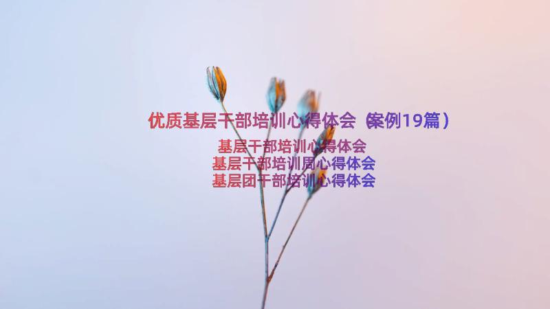 优质基层干部培训心得体会（案例19篇）