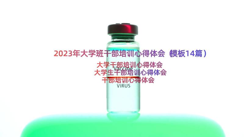 2023年大学班干部培训心得体会（模板14篇）