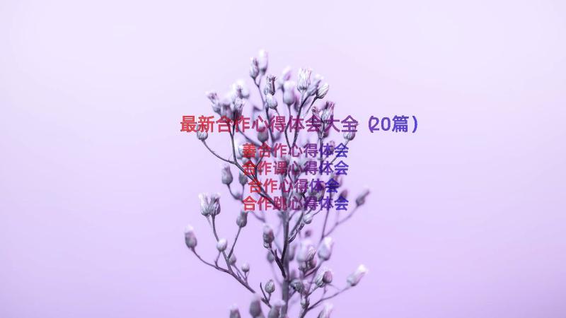 最新合作心得体会大全（20篇）