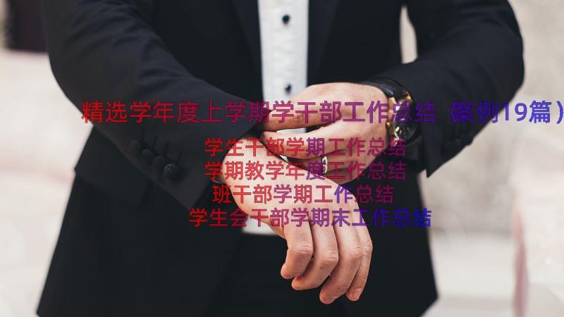 精选学年度上学期学干部工作总结（案例19篇）