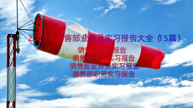 2023年销售部业务员实习报告大全（15篇）