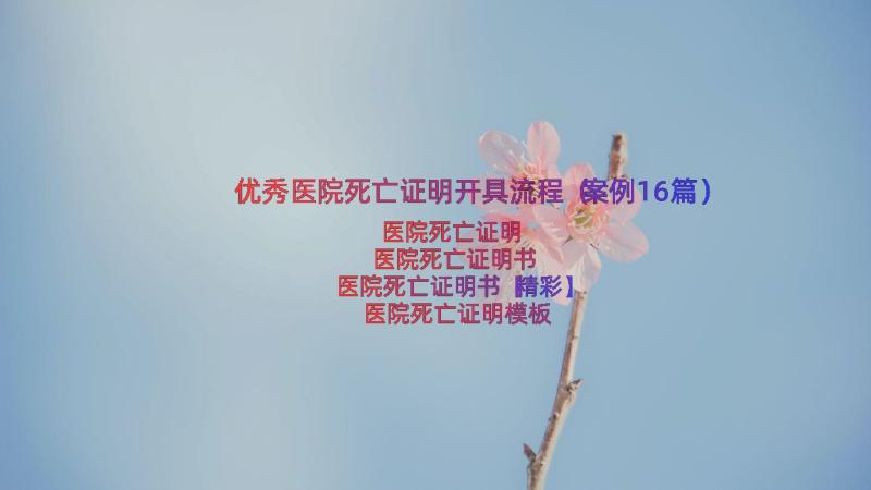 优秀医院死亡证明开具流程（案例16篇）