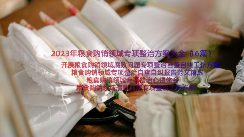 2023年粮食购销领域专项整治方案大全（16篇）