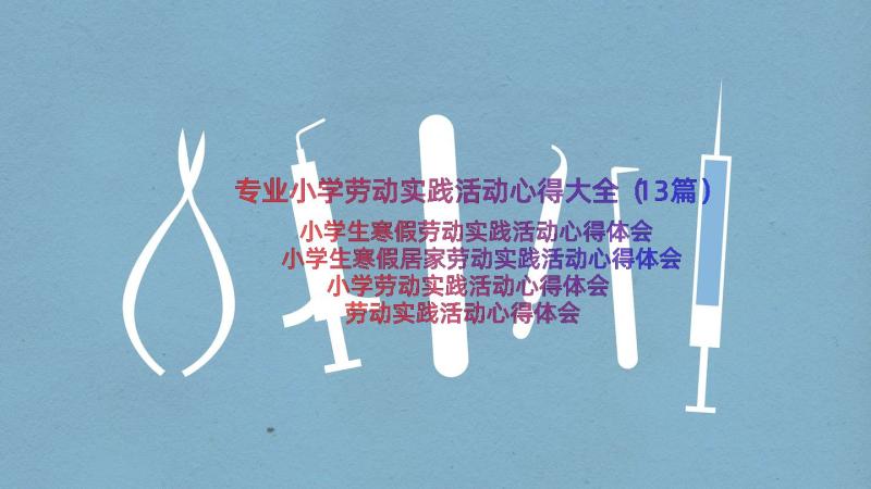 专业小学劳动实践活动心得大全（13篇）