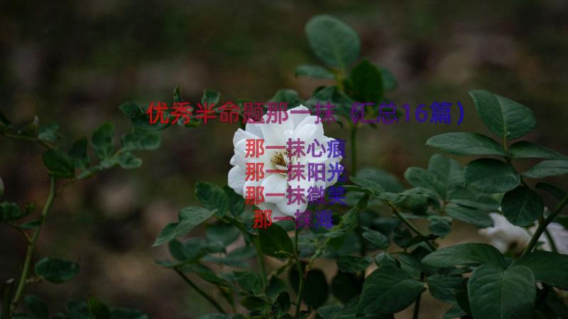 优秀半命题那一抹（汇总16篇）