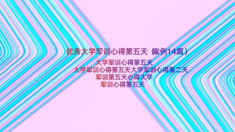 优秀大学军训心得第五天（案例14篇）