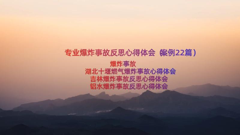 专业爆炸事故反思心得体会（案例22篇）