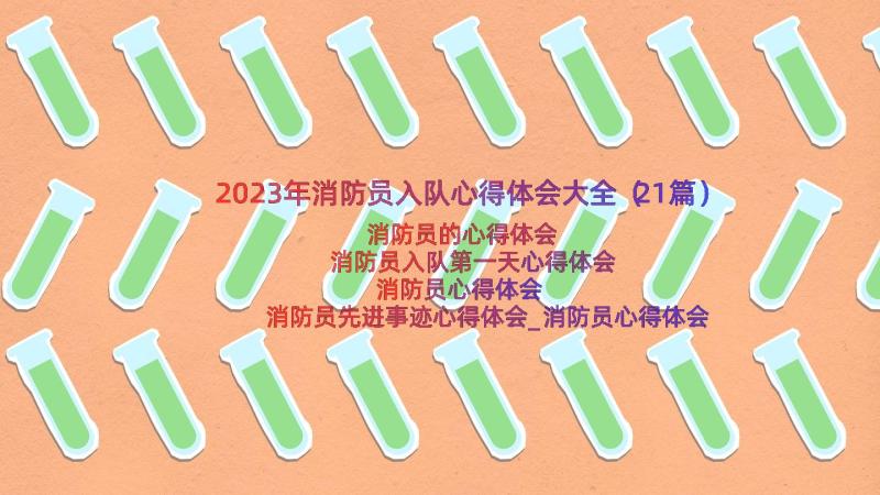 2023年消防员入队心得体会大全（21篇）