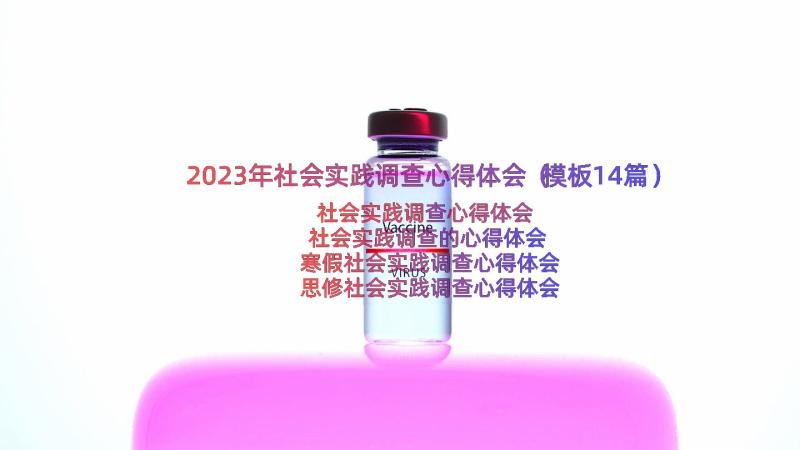 2023年社会实践调查心得体会（模板14篇）