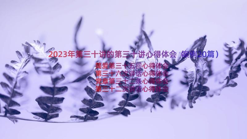 2023年第三十讲的第三十讲心得体会（案例20篇）