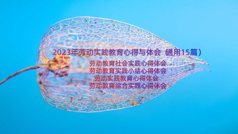 2023年劳动实践教育心得与体会（通用15篇）