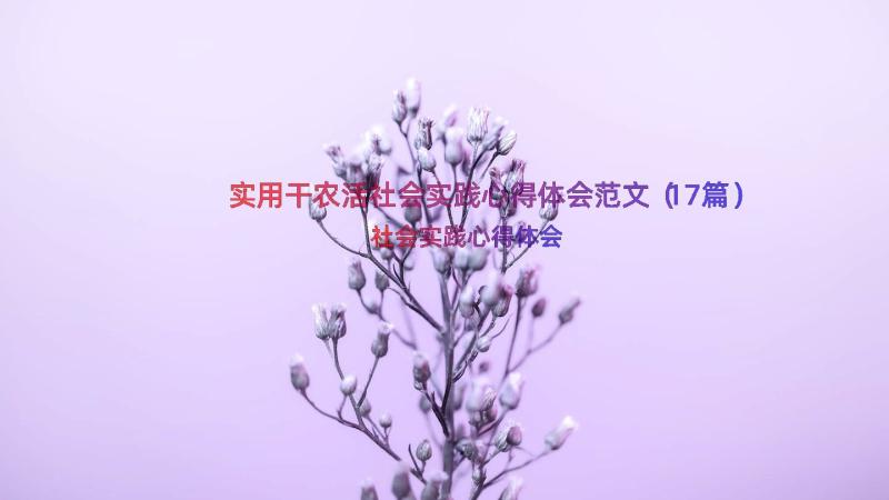 实用干农活社会实践心得体会范文（17篇）