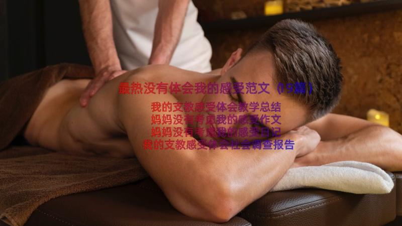 最热没有体会我的感受范文（19篇）