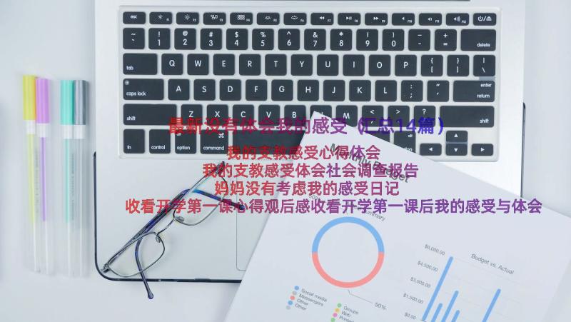 最新没有体会我的感受（汇总14篇）