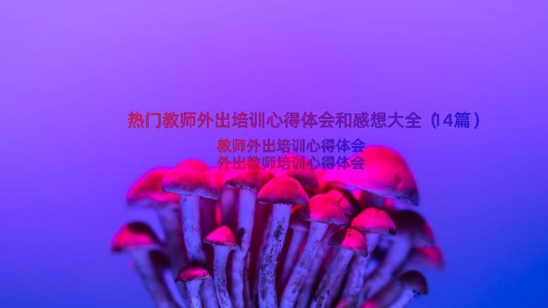 热门教师外出培训心得体会和感想大全（14篇）