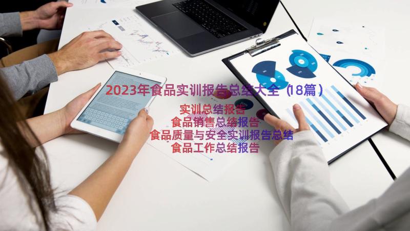 2023年食品实训报告总结大全（18篇）