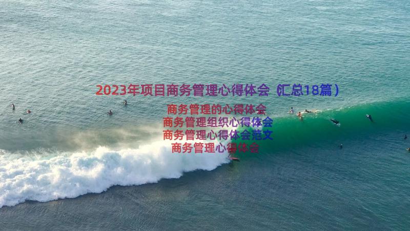 2023年项目商务管理心得体会（汇总18篇）